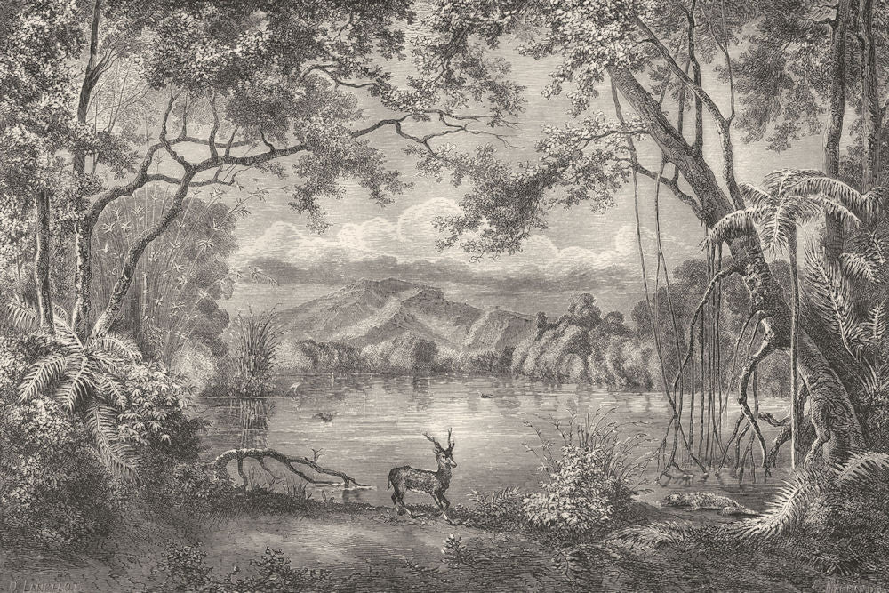 PHILIPPINES. Enchanted lake, Philippine Islands 1870 old antique print picture
